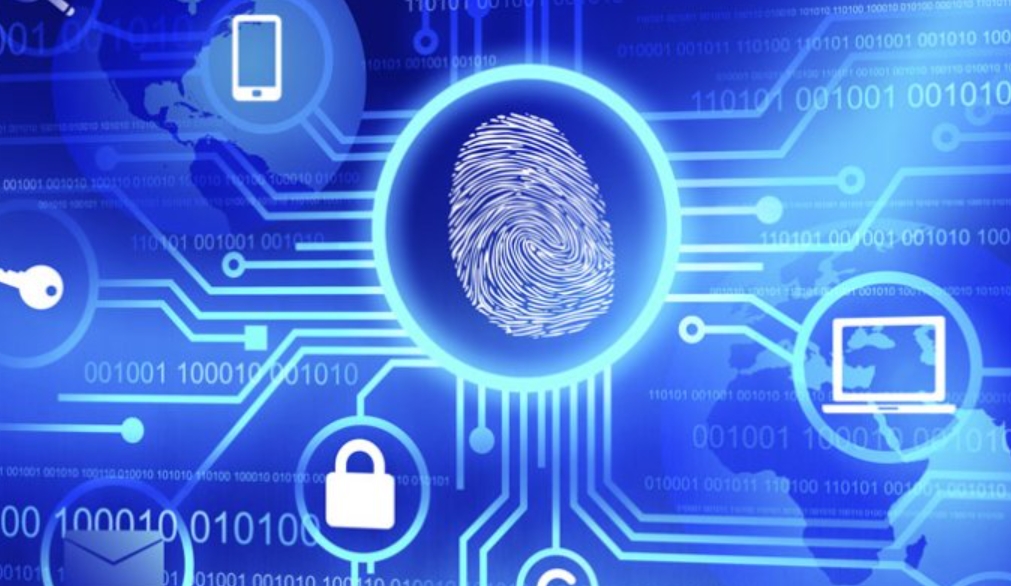 digital identity management